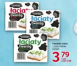 Selgros Twaróg Łaciaty oferta