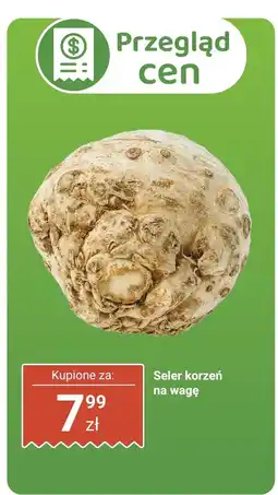 Biedronka Seler korzeń na wagę Biedronka oferta
