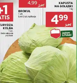 Stokrotka Brokuł Stokrotka oferta