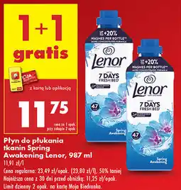 Biedronka Płyn do płukania Lenor oferta