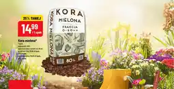 Polomarket Kora mielona oferta