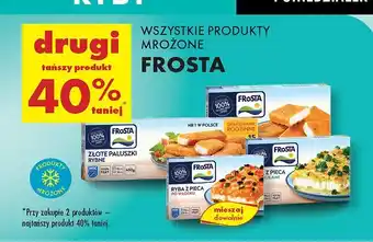 Biedronka Wszystkie produkty mrożone Frosta oferta