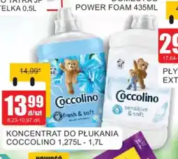 Bingo KONCENTRAT DO PŁUKANIA COCCOLINO oferta