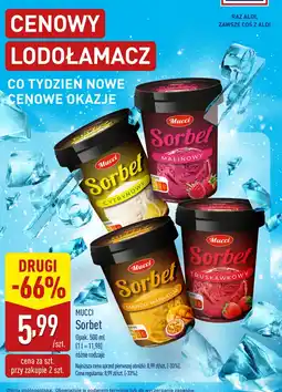 ALDI Sorbet Mucci oferta