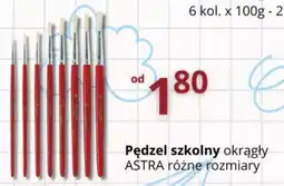 Partner Premium Pędzel szkolny oferta