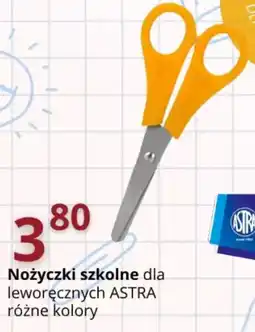 Partner Premium Nożyczki szkolne oferta