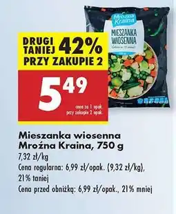 Biedronka Mieszanka wiosenna Mroźna Kraina 750 g oferta