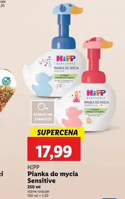 Lidl Pianka do mycia Hipp oferta