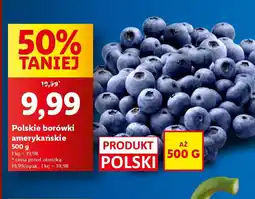 Lidl Polskie borówki amerykańskie oferta