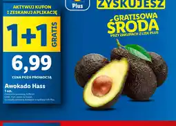 Lidl Awokado Hass oferta