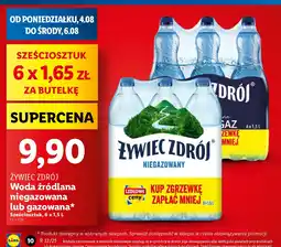 Lidl Zywiec Zdrój oferta
