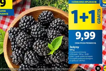 Lidl Jeżyny oferta