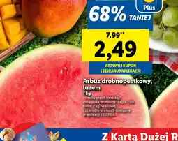 Lidl Arbuz drobnopestkowy oferta