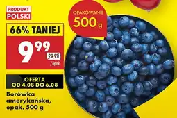 Biedronka Borówka amerykańska 1 opak. Biedronka oferta