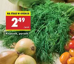 Biedronka Koperek - pęczek Biedronka oferta