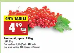 Biedronka Porzeczki 1 opak. Biedronka oferta