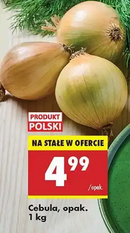 Biedronka Cebula 1 opak. Biedronka oferta