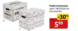 Black Red White Pudło oferta