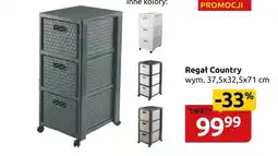Black Red White Regał oferta