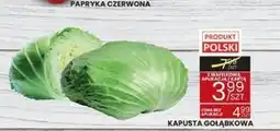 Wafelek Kapusta Polski oferta