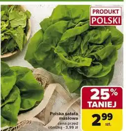 Carrefour Sałata masłowa oferta