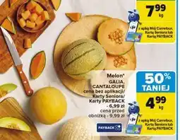 Carrefour Melon cantaloupe oferta