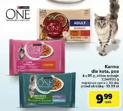 Carrefour Karma dla kota indoor formula cielęcina z marchewką + tuńczyk zieloną fasolką Purina One oferta