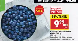 Biedronka Borówka amerykańska oferta