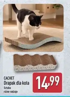 ALDI Drapak dla kota Cachet oferta