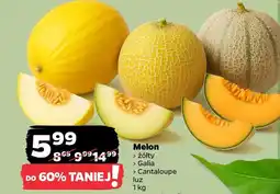 Netto Melon oferta