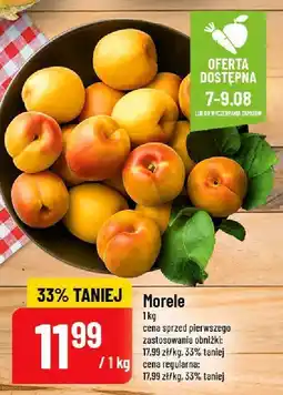 Polomarket Morele POLOmarket oferta