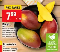Polomarket Mango POLOmarket oferta