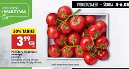 Biedronka Pomidory na gałązce 1 kg Biedronka oferta