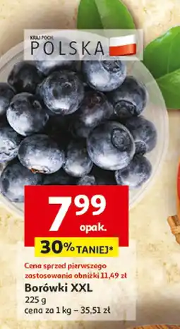 Auchan Borówki XXL Polska oferta