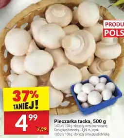 Twój Market Pieczarka łacka Twój Market oferta