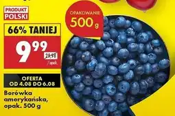 Biedronka Borówki amerykańskie polska oferta