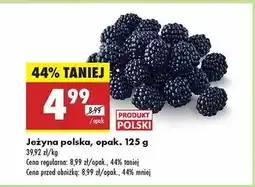 Biedronka Jeżyny polska oferta