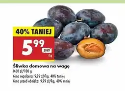 Biedronka Śliwki oferta