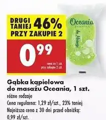Biedronka Gąbka do masażu Oceania oferta
