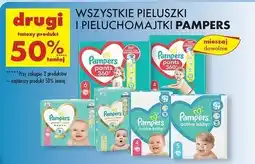 Biedronka Pieluszki Pampers Active Baby oferta