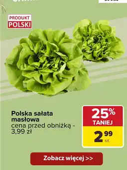 Carrefour Sałata masłowa Carrefour oferta