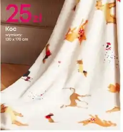 Pepco Koc oferta