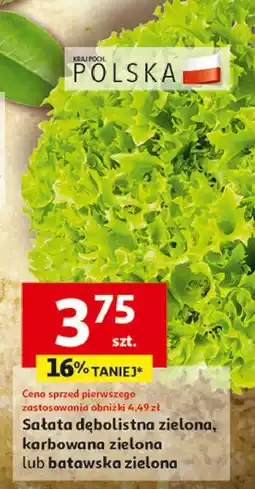 Auchan Sałata batawska oferta