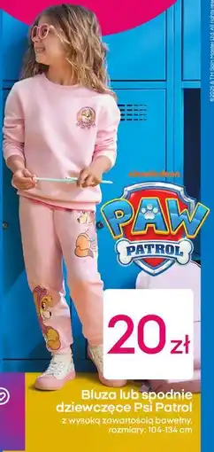 Pepco Bluza dziewczęce psi patrol 104-134 cm oferta