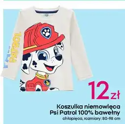 Pepco Koszulka niemowlęca psi patrol 80-98 cm oferta