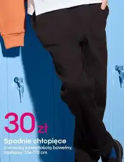 Pepco Spodnie chłopięce 134-170 cm oferta