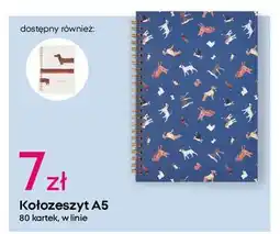 Pepco Kołozeszyt a5 80 kartek w linie oferta
