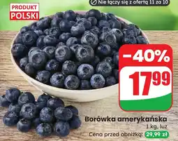 Dino Borówka amerykańska Dino oferta