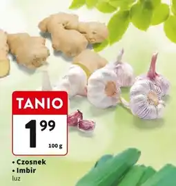 Intermarche Imbir Intermarche oferta