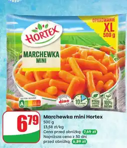 Dino Marchewka mini Hortex oferta
